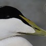 Odlévání - nové práce Odlévání - nové práce