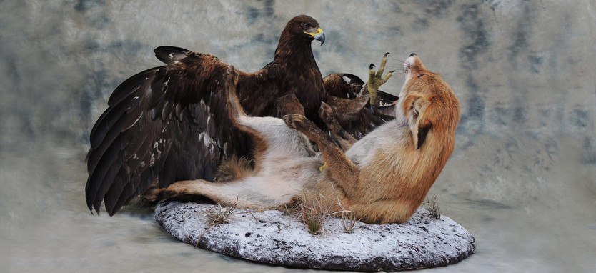 Orel s liškou - Národní zemědělské muzeum 